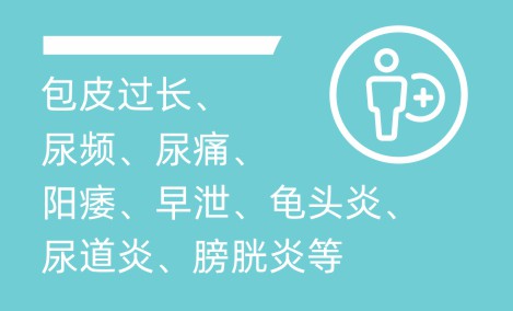 泌尿科封面图